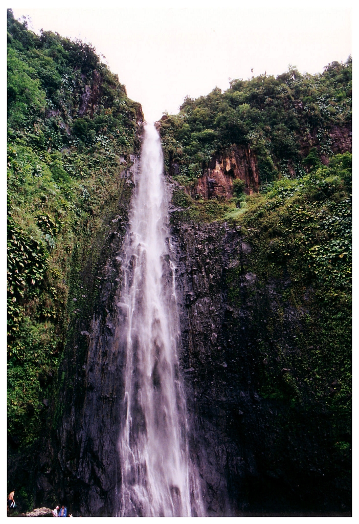 06 - Chutes du Carbet (3).jpg